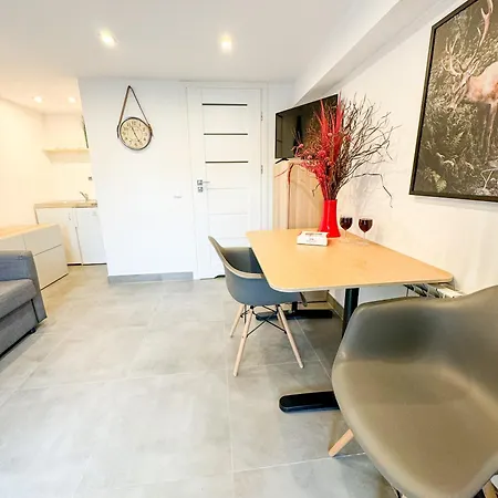 Modrzejewska In The Centre Of By Renters Lejlighed *